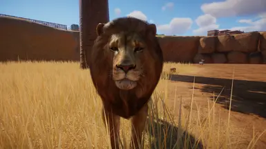 Lion Remaster at Planet Zoo Nexus - Mods and community