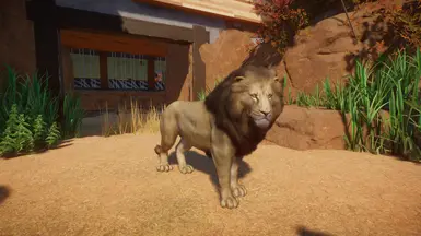 Lion Remaster (UPDATE 1.5) at Planet Zoo Nexus - Mods and community