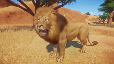 African Lion Remaster (1.10 ACSE Update) at Planet Zoo Nexus - Mods and ...