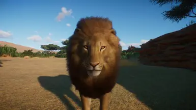 African Lion Remaster (1.10 ACSE Update) at Planet Zoo Nexus - Mods and ...