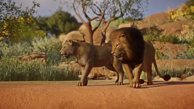 African Lion Remaster (1.10 ACSE Update) at Planet Zoo Nexus - Mods and