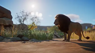 Lion Remaster (UPDATE 1.9.1) at Planet Zoo Nexus - Mods and community