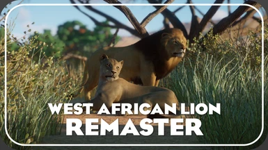 West African Lion Remaster (ACSE Update)