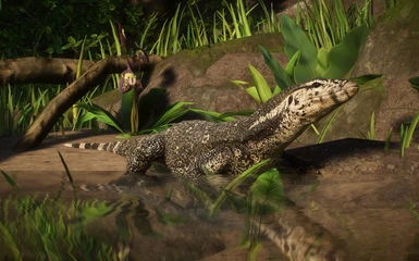 Asian Water Monitor - New Species (1.9)