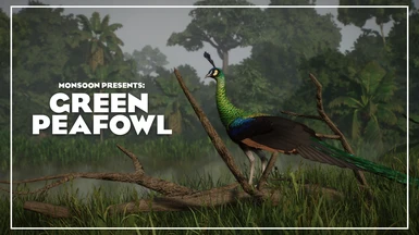 Green Peafowl - New Species (1.15)
