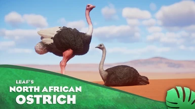 North African Ostrich - New Species (1.12)