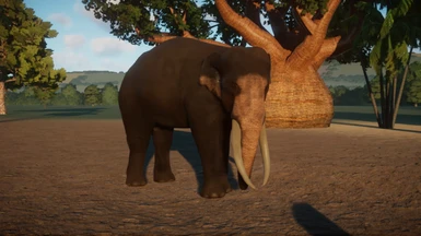 Sri Lankan Elephant (New Species) (1.8)