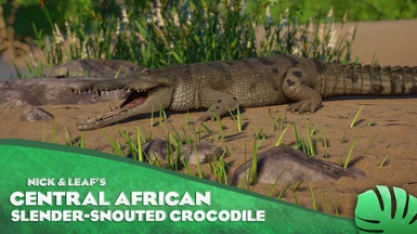 Central African Slender-Snouted Crocodile - New Species (1.14)