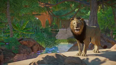 Northern Lion - New Species (UPDATE 1.8) at Planet Zoo Nexus - Mods and ...