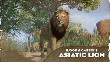 Asiatic Lion - New Species (1.15)