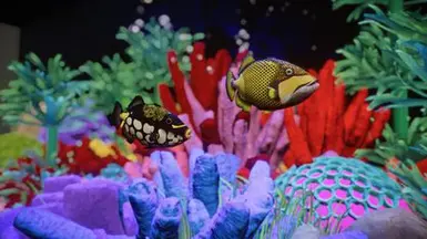 (1.11) Clown Triggerfish at Planet Zoo Nexus - Mods and community