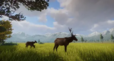 Wapiti