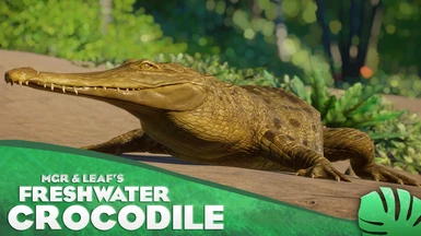 Freshwater Crocodile - New Species (1.14)