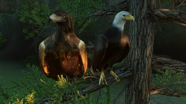 Nick's Eagle Mod (Updated for 1.4)
