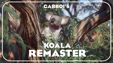 Queensland Koala Remaster (1.13 ACSE)