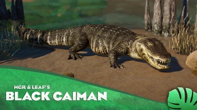 Black Caiman - New Species (1.14)