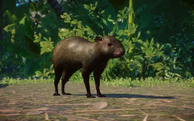 Azara's Agouti - New Species (1.14) at Planet Zoo Nexus - Mods and ...