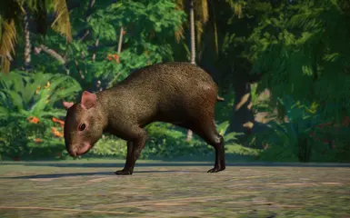 Azara's Agouti - New Species (1.14) at Planet Zoo Nexus - Mods and ...