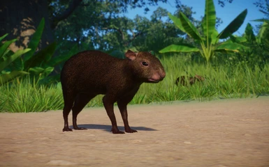 Central American Agouti - New Species () at Planet Zoo Nexus - Mods and  community