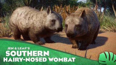 Southern Hairy-Nosed Wombat - New Species (1.12)