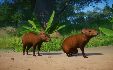 Orinoco Agouti - New Species (1.14) at Planet Zoo Nexus - Mods and ...