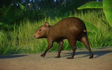 Mexican Agouti - New Species (1.14) at Planet Zoo Nexus - Mods and ...