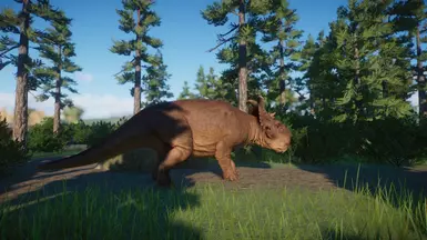 (1.10) New Species - Pachyrhinosaurus (JWE)