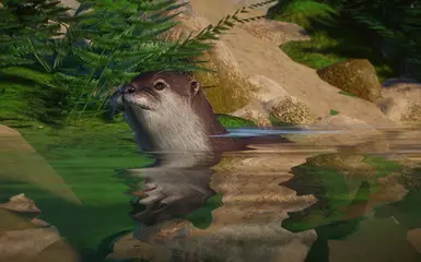 Eurasian Otter - New Species (1.12) At Planet Zoo Nexus - Mods And 