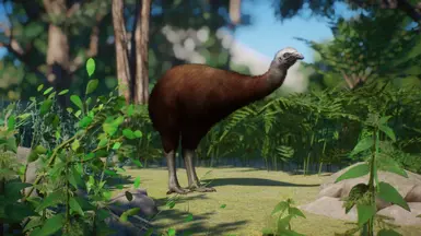 South Island Giant Moa - Extinct New Species (1.16) at Planet Zoo Nexus ...