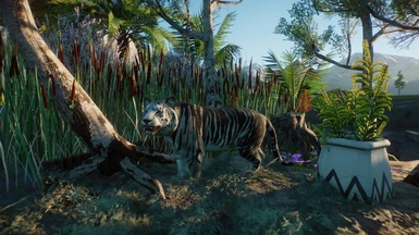 Realistic Melanistic Tiger