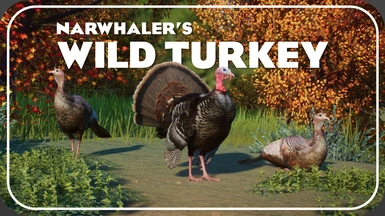 Eastern Wild Turkey - New Species (1.16)