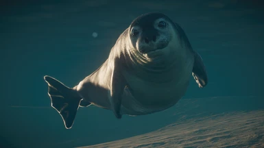 Mediterranean Monk Seal - New Species (1.8)