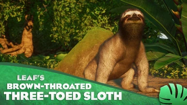 Brown-Throated Three-Toed Sloth - New Species (1.12)