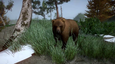 Kamchatka Brown Bear (UPDATE 1.8)
