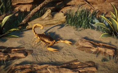 (1.8) New Species - Giant Desert Hairy Scorpion (Habitat)