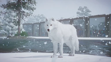Whiter Arctic Wolves (Updated for 1.6)