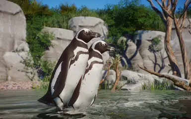 Magellanic Penguin - New Species (1.14) at Planet Zoo Nexus - Mods and ...