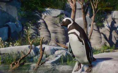 Magellanic Penguin - New Species (1.14) at Planet Zoo Nexus - Mods and ...