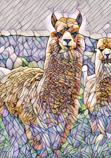 The South America Mossaic Animal Art Pack