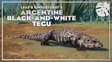 Argentinian Black-and-White Tegu - New Species (1.10)
