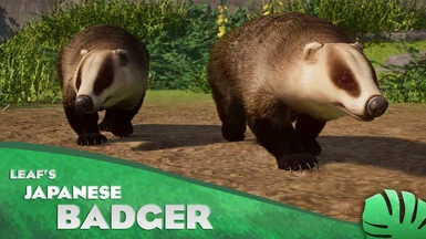 Japanese Badger - New Species (1.13)