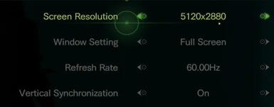 RERevHook - custom resolution fix