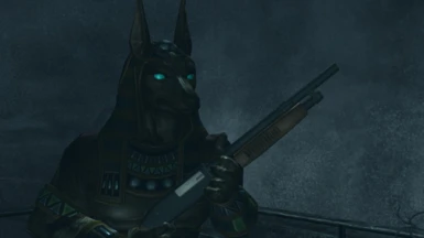 Anubis From Smite Replaces Chris Wetsuit