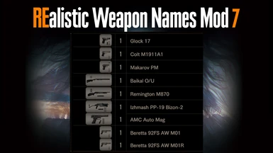 REalistic Weapon Names Mod 7