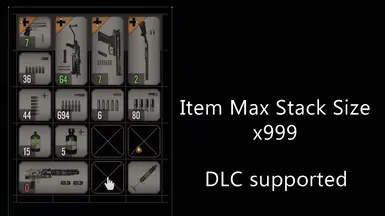 Max stack size x999