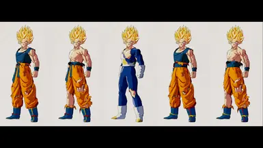 Goku Damged Clothes