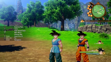 Goku and Goku