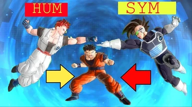 Fighting Style (SYM and HUM)
