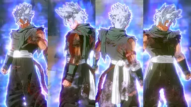 Mastered Ultra Instinct