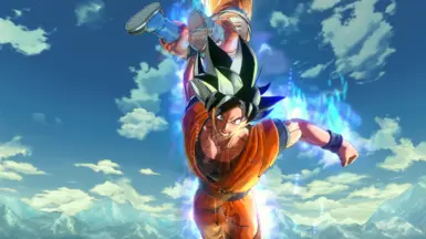 Goku (TUI) True Ultra Instinct